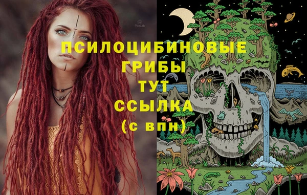 mdma Гусев