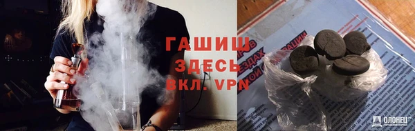 мдпв Гусь-Хрустальный