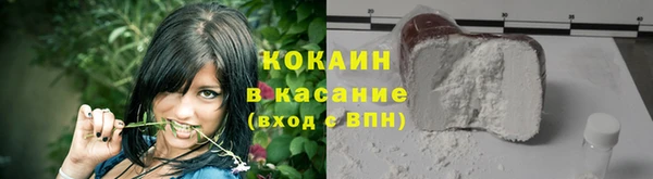 мдпв Гусь-Хрустальный