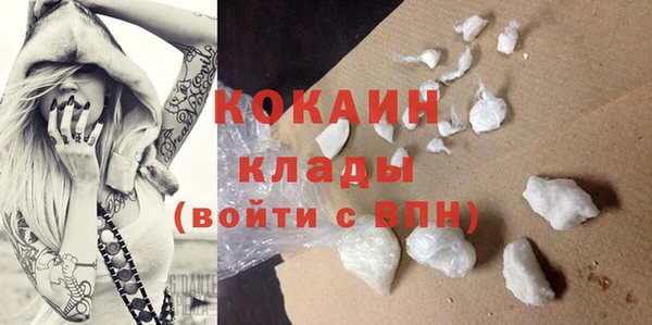 мдпв Гусь-Хрустальный