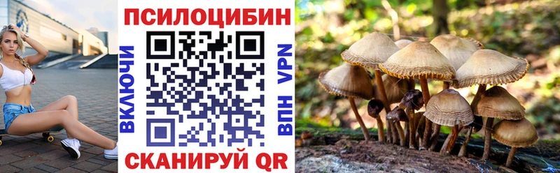 Купить где  Струнино  Галлюциногенные грибы ЛСД 